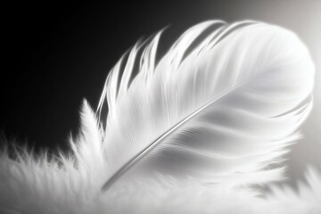 Delicate elegant white feather on solid background. Generative AI