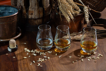 Speyside scotch whisky tasting on old dark wooden vintage table with barley grains close up