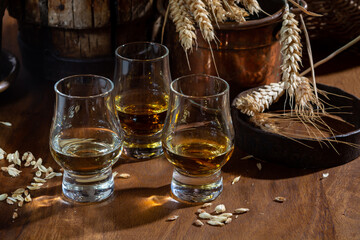 Small tasting glasses with aged Scotch whisky on old dark wooden vintage table with barley grains