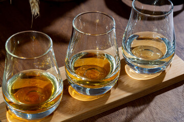 Speyside scotch whisky tasting on old dark wooden vintage table with barley grains close up