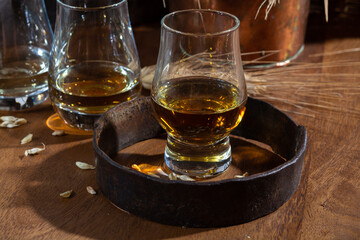 Speyside scotch whisky tasting on old dark wooden vintage table with barley grains close up