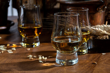 Small tasting glasses with aged Scotch whisky on old dark wooden vintage table with barley grains