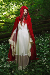 Red riding hood in a green forest - 583270385
