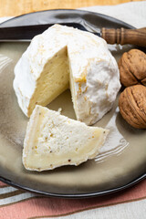 Cheese collection, soft cow French cheese with mold Gaperon artisanal lavored with cracked peppercorns and garlic produced in Auvergne