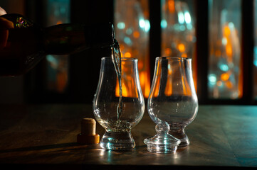 Pouring in tulip-shaped tasting glass Scotch single malt or blended whisky