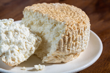 Polish skimmed fresh smoked milk twarog cheese, white cow cheese compared to curd, quark, or cottage cheese made in Poland