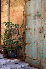 Old blue wooden door on a typical Maltese street in Valetta, with a plant in a pot next to it