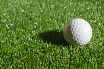White dimple hockey ball and golf ball on green grass. Professional sport concept.