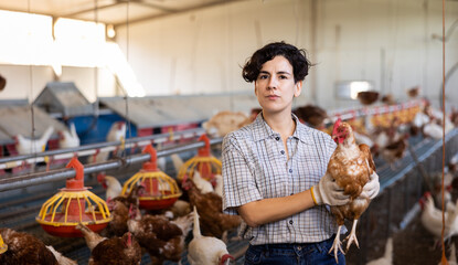 Confident young Hispanic female farmer engaged in breeding of chickens and producing organic eggs posing in coop with brown laying hen in hands