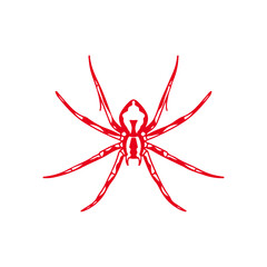 vector illustration of a red spider