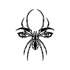 vector illustration of a spider with eyes