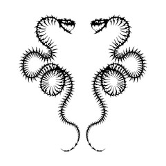 vector illustration of snake bone skeleton