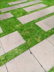 Pedestrian walkway surrounded by green grass in the garden