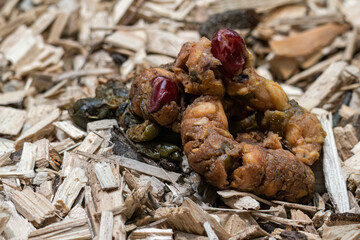Feces of a captive animal - binturong.