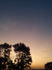 Obraz premium sunset and tree