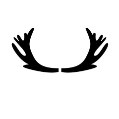 Obraz premium silhouette of deer antlers
