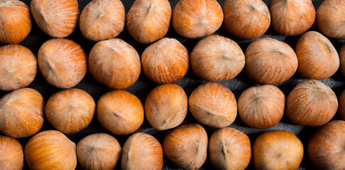 beautiful background with nuts .hazelnuts closeup for background isolated