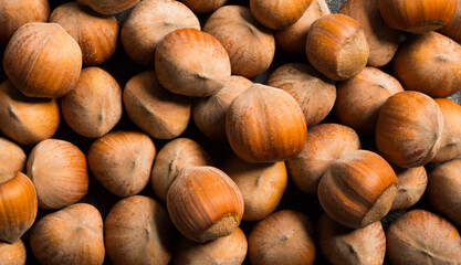 beautiful background with nuts .hazelnuts closeup for background isolated