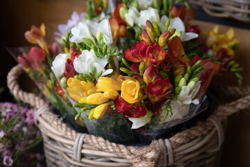 Obraz na płótnie Canvas Full bucket of fresh cut beautiful colorful freesia bouquets at the greek garden flower shop in spring.