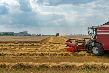 Obraz premium A combine harvester is working in a wheat field. Seasonal wheat harvest. Agricultural industry. Cleaning and harvesting of silage. The process of harvesting from the fields. equipment in the field.