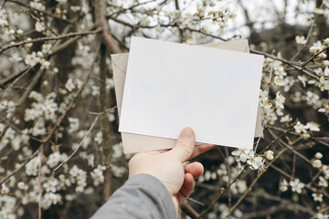 Woman's hand holding blank greeting, invitation card. White blooming cherry plum trees, blossoms in garden, orchard. Spring wedding stationery mockup. Birthday celeberation. Floral blurred background.
