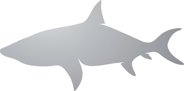 Shark figure design