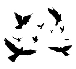 Fototapeta na wymiar flocks of flying birds. vector illustration.