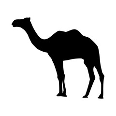 camel silhouette. side view. vector illustration.