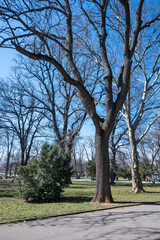 Fototapeta na wymiar Spring view of Borisova gradina in city of Sofia, Bulgaria