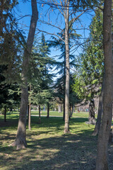 Fototapeta premium Spring view of Borisova gradina in city of Sofia, Bulgaria