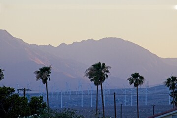 Dusk in Desert Hot Springs