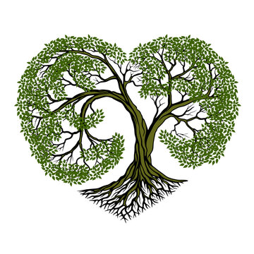 green heart-shaped tree on white clip art preview