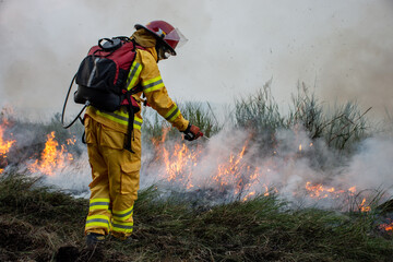 Naklejka premium firefighter in action