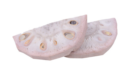 Jackfruit seed transparent png