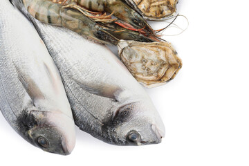 Fresh dorado fish, oysters and shrimps on white background, top view