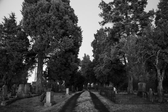 Creepy and eerie photos of a cemetery at night