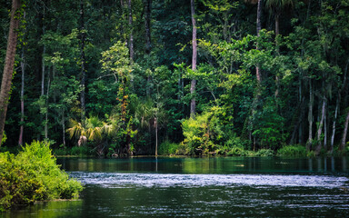 Silver Springs State Park
