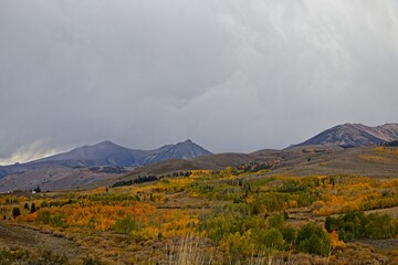 Fototapeta premium Fall colors begin to display in the Eastern Sierra region of California.