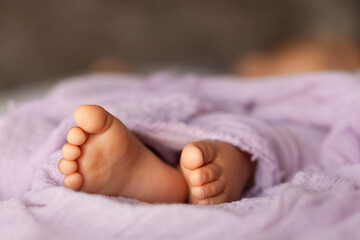 Newborn baby feet in lilacmwrap at natural light, closeup of tiny toes, indoor photography