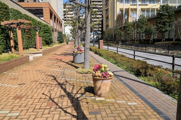 Fototapete bei efototapeten.de bestellen   