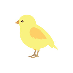Vector flat hand drawn chicken chick isolated on white background