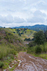 Malibu Creek State Park muddy after a large rainfall in southern California. Streams overflowing, lush green grass, large oak trees, clouds, dam rushing, water flowing.