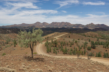 desert road in australia