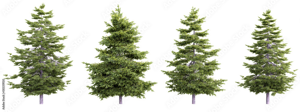 Poster tree pseudotsuga menziesii set on transparent background.3d rendering png set