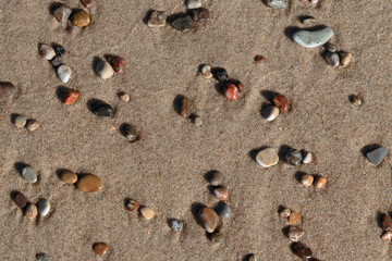 Fototapeta na wymiar Colorful sea pebbles on the sand of the beach on the Baltic Sea, Curonian Spit, Kaliningrad region, Russia