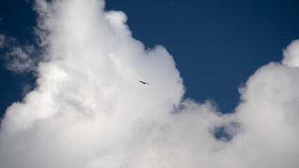 wonderful nature and cloudy sky view.