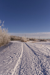 Fototapeta na wymiar Pylypow Wetlands in the Winter