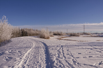 Pylypow Wetlands in the Winter