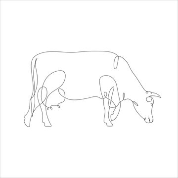 Cow in continuous line art drawing style. Continuous line drawing of cattle. Cow in abstract and minimalist linear icon. Vector illustration