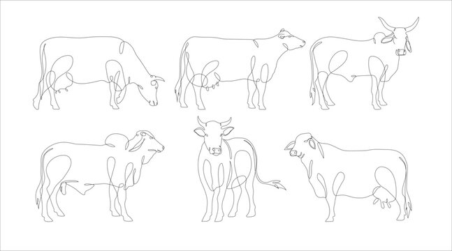 Set of Cow in continuous line art drawing style. Continuous line drawing collection of cattle. Cow in abstract and minimalist linear icon set. Vector illustration